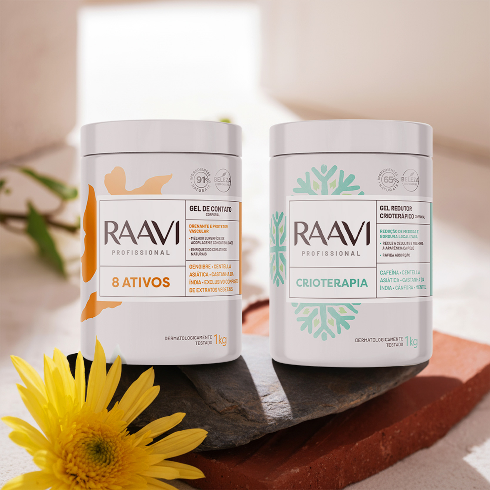 Profissional – Géis